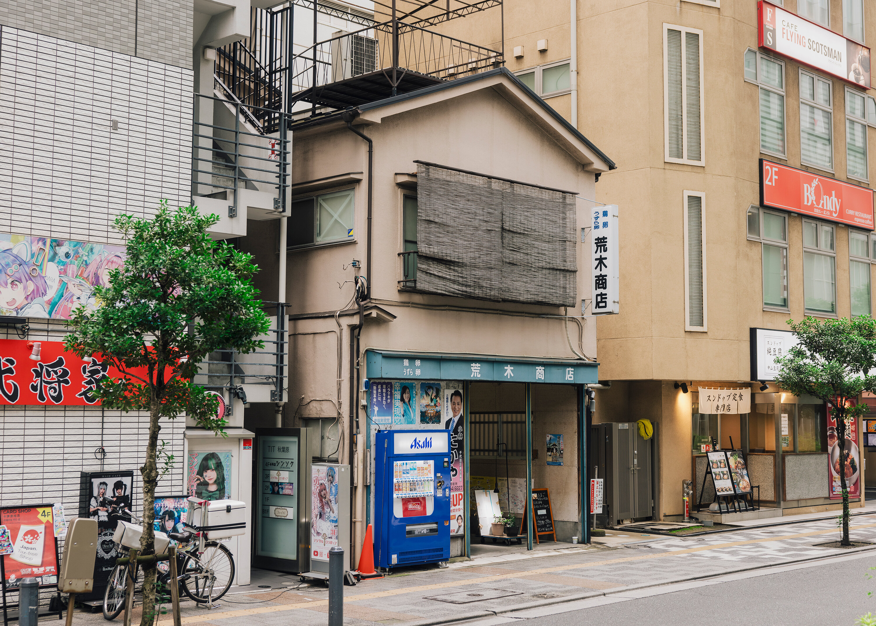 _N0A2801.jpg