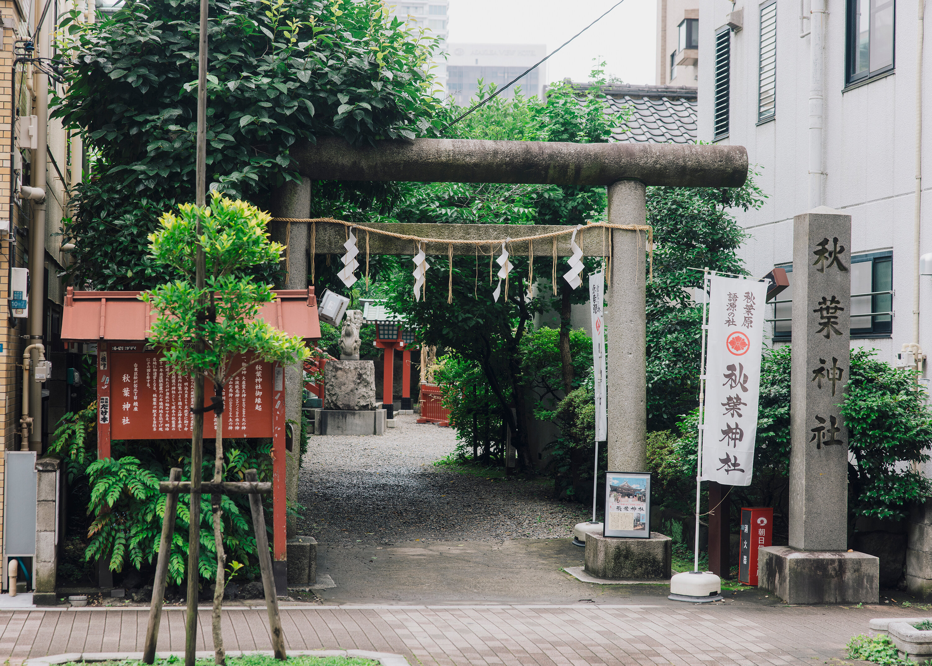 _N0A2838.jpg
