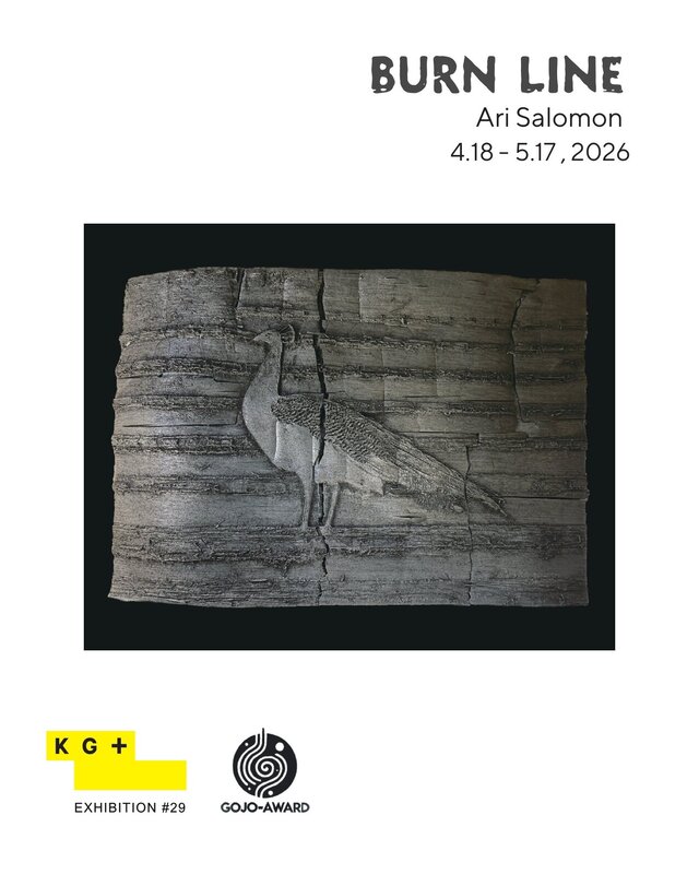 KG+ Exhibition: Ari Salomon
