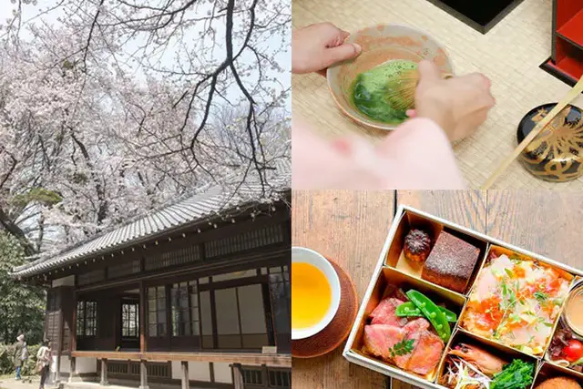 [Tokyo National Museum and NOHGA Collaboration Plan No. 9] Premium Japanese Culture Experience