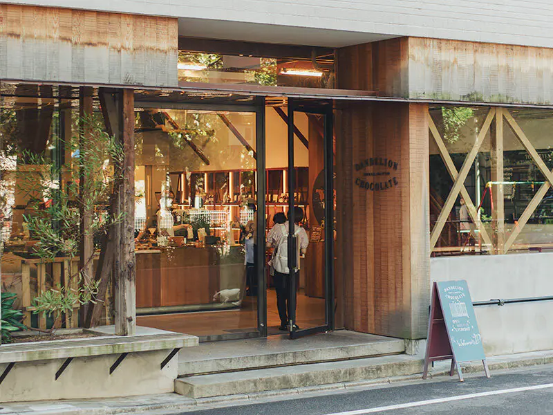 dandelion_shop.webp